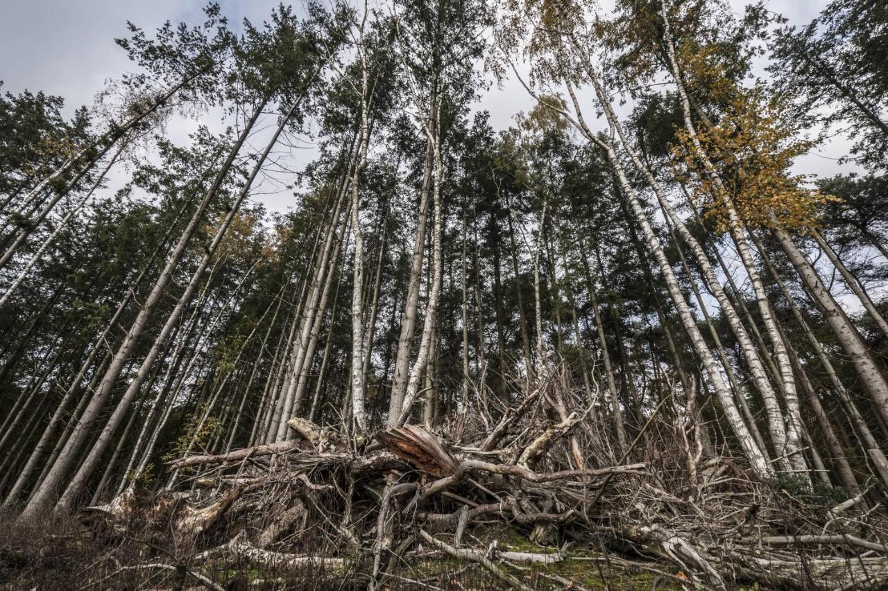 Veul Oe Thuus Hoeve Kroep An Vorden Exteriér fotografie